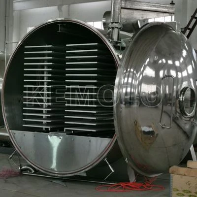 Large Scale Freeze Dryer