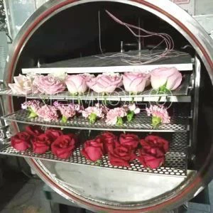 Pengering beku kecil